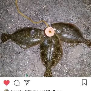 Meet your Posher, Wesley